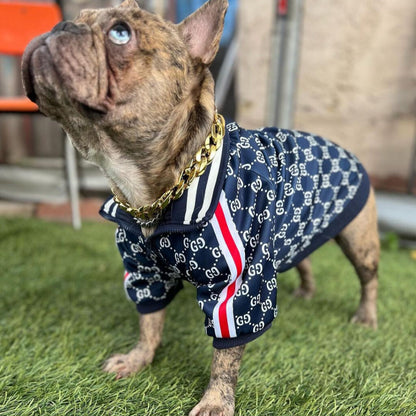 Luxury Edition Pawcci Jacket