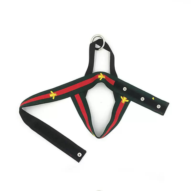 G-BEES Dog Harness and Leash Set