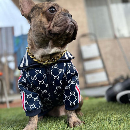 Luxury Edition Pawcci Jacket