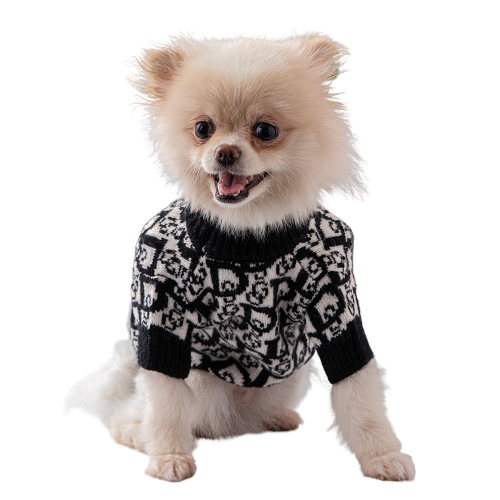 DOGIOR BLACK SWEATER