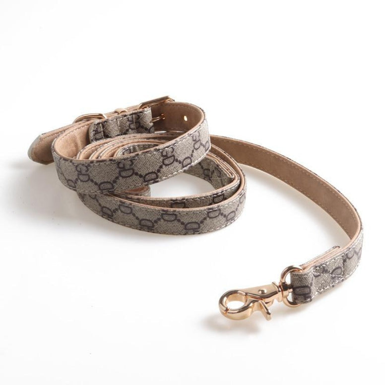 DESIGNER COLLAR & LEASH SET