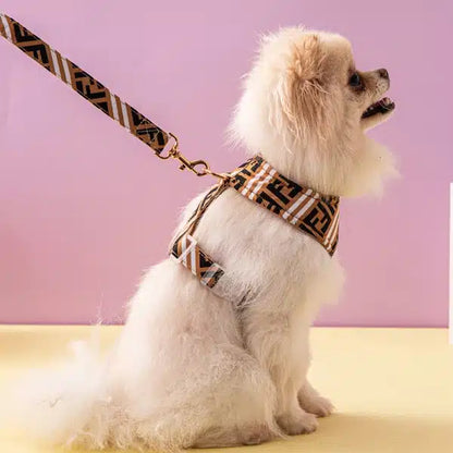 FURDI MONOGRAM HARNESS & LEASH SET