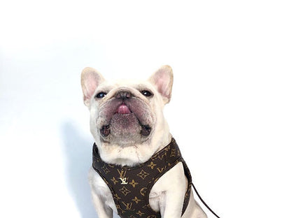 Chewiii Vuito Harness & Leash Set