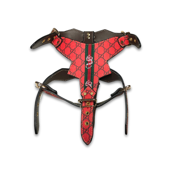 PAWCCI ROCKSTAR RED DESIGNER HARNESS & LEASH SET