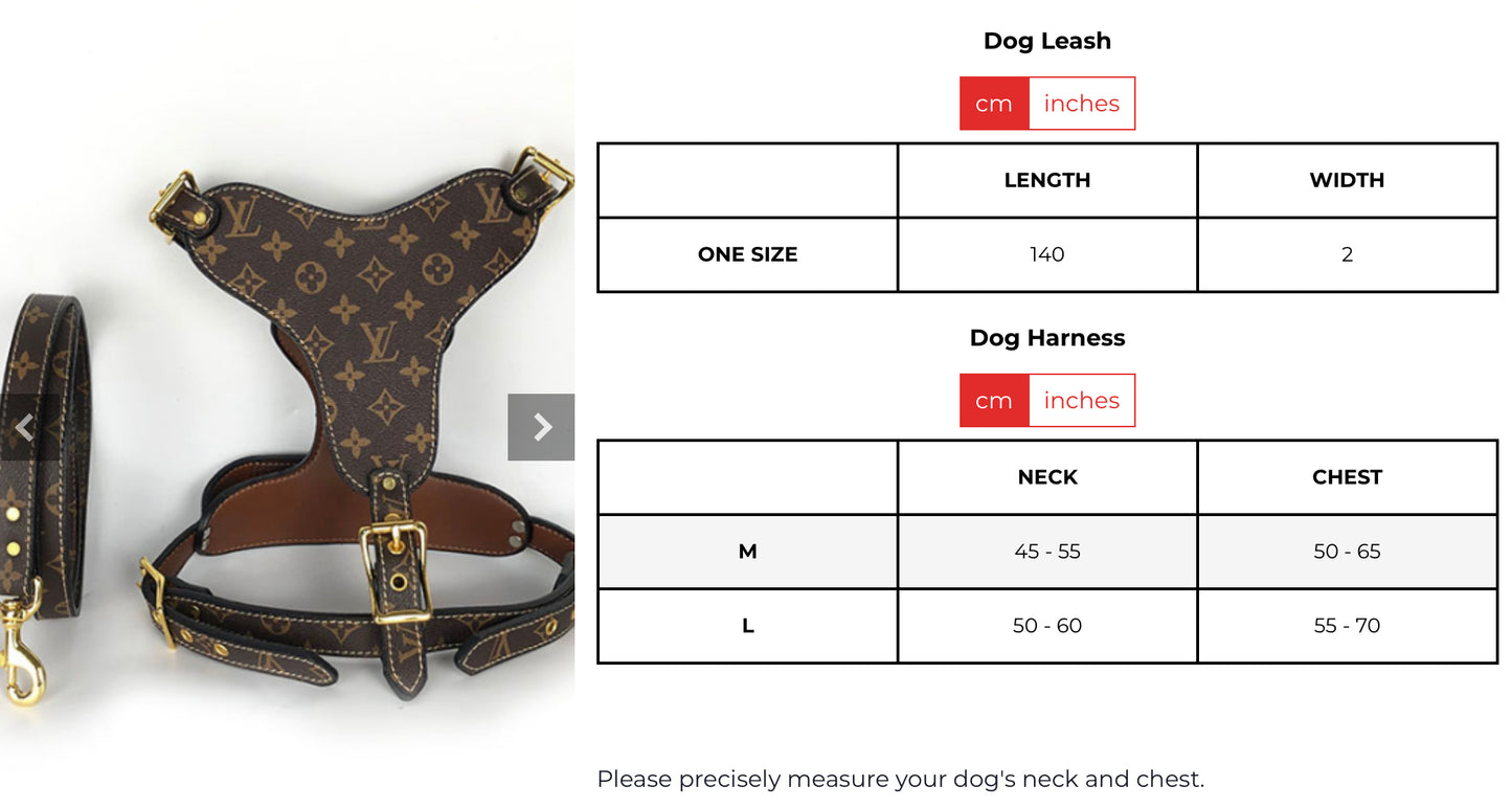 LOUIS PAWTTON HERO DESIGNER HARNESS & LEASH SET