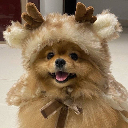 SWEETY REINDEER CAPE