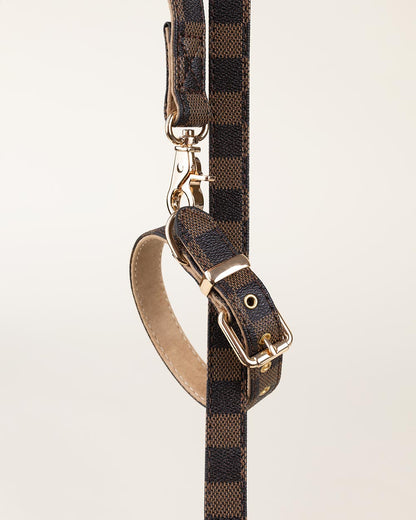 DESIGNER COLLAR & LEASH SET