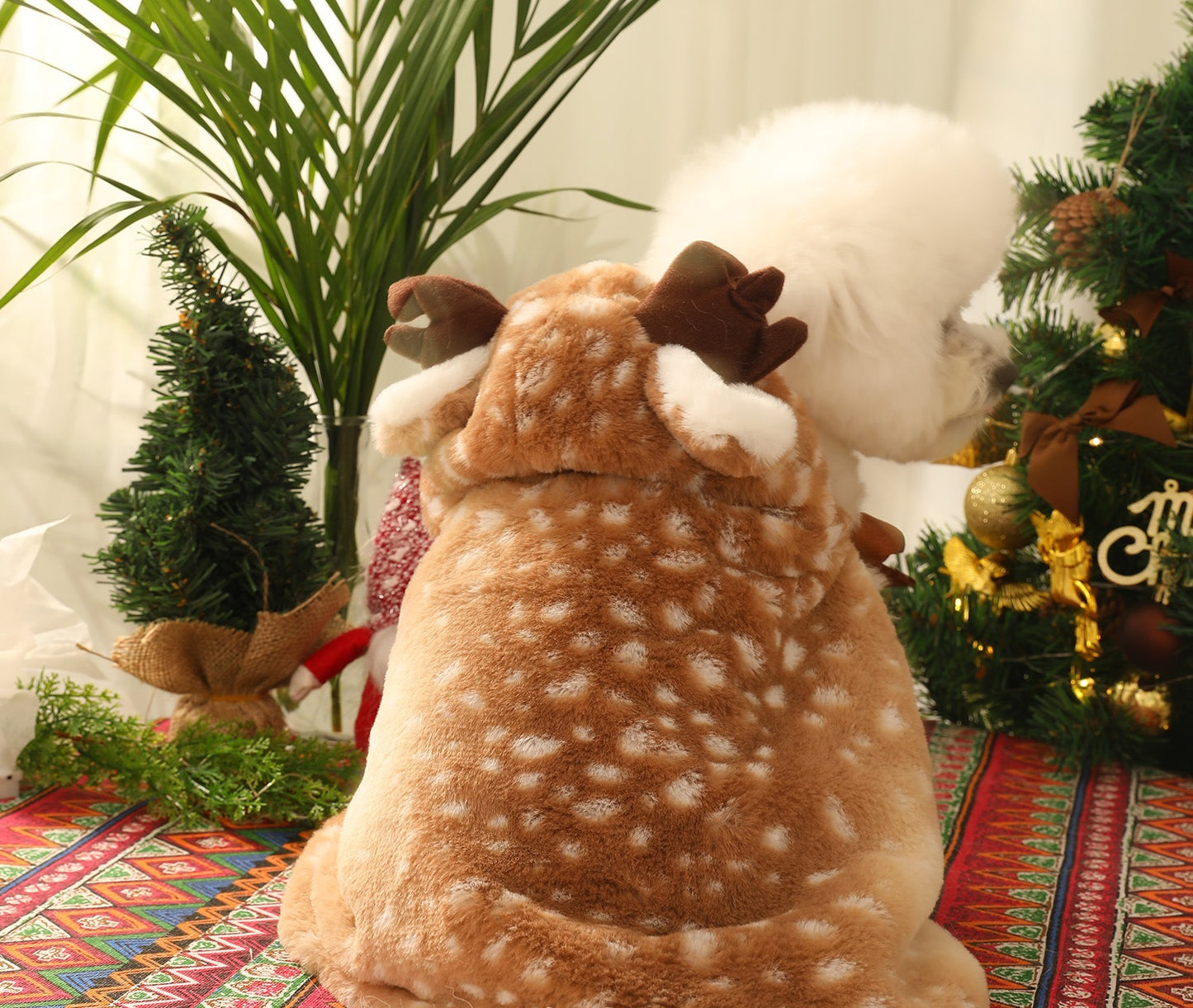 SWEETY REINDEER CAPE