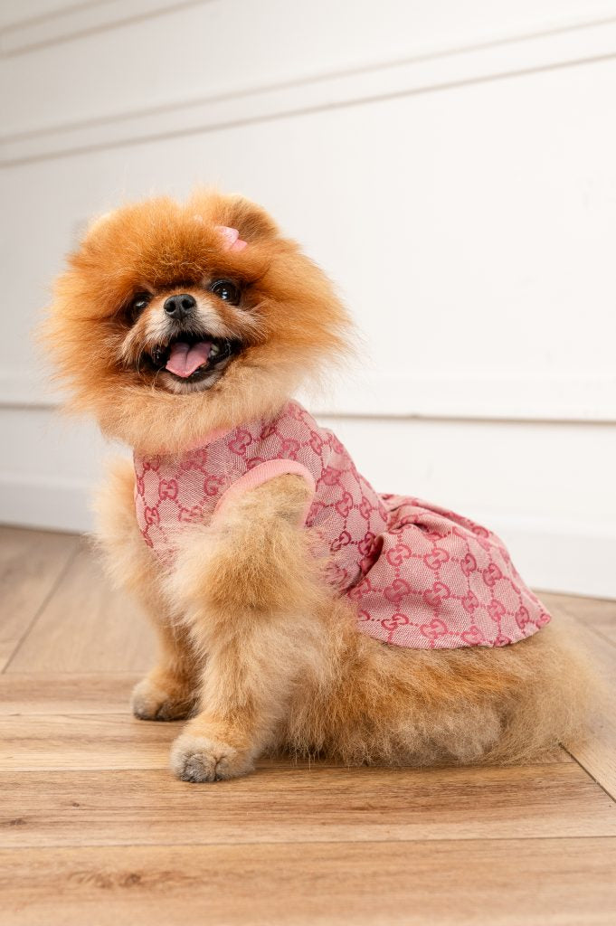 NINI Monogram Pink Dog Dress