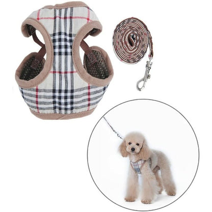 ZUMA HARNESS & LEASH SET