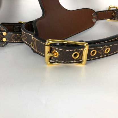 LOUIS PAWTTON HERO DESIGNER HARNESS & LEASH SET