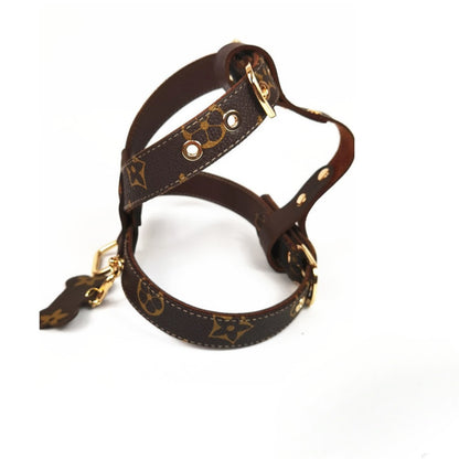 DINA Harness & Leash SET – Brown Faux Leather Luxury