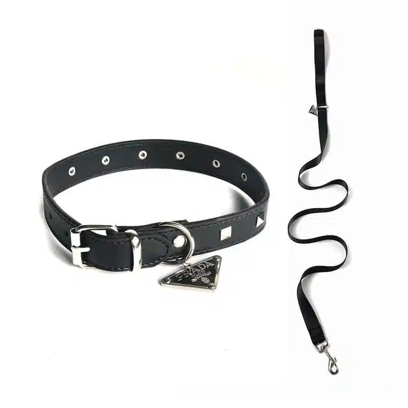 LUXURY BLACK COLLAR & LEASH SET