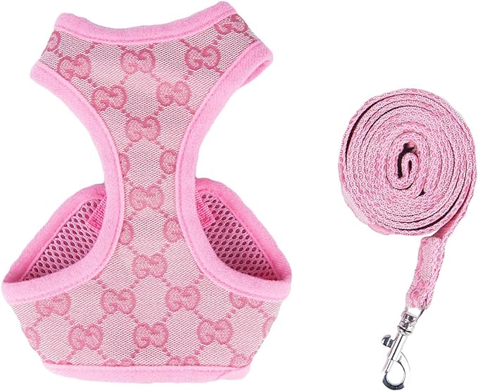 BELLA HARNESS & LEASH SET