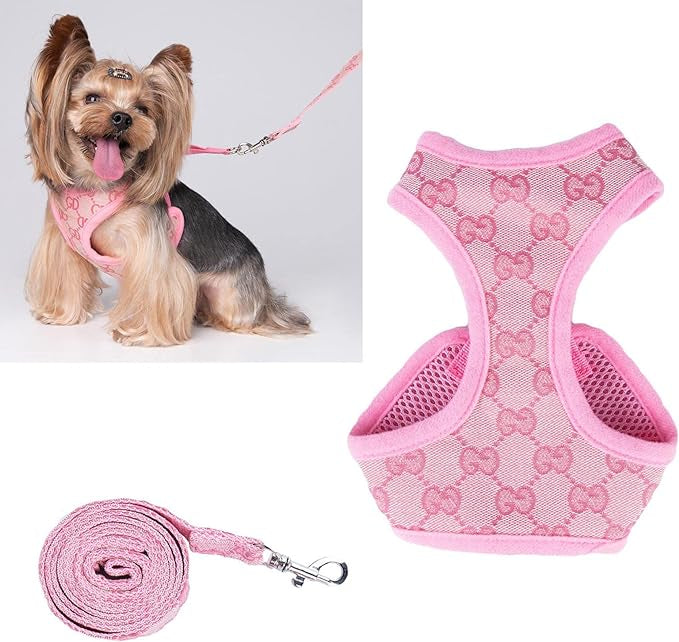 BELLA HARNESS & LEASH SET