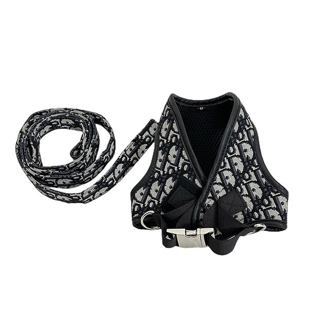 Dogior Harness & Leash Set